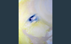 Light Eye, 2014, acrylic paint on canvas, 110 x 140 cm Light Eye, 2014, acrylic paint on canvas, 110 x 140 cm